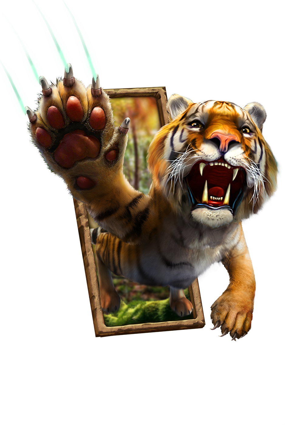 Tiger illustration