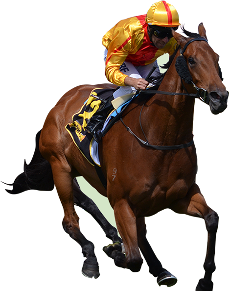Horse racing